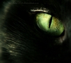 Midnight's Eye by `PorcelainPoet