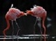 photo/ohota/oh1.jpg