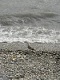 photo/ohota/oh11.jpg