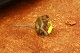 photo/ohota/oh14.jpg
