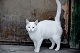 photo/ohota/oh15.jpg