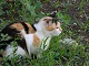 photo/ohota/oh16.jpeg