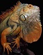 photo/ohota/oh18.jpg